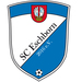 Club logo SC Eschborn Beachsoccer