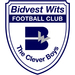 Club logo BidVest Wits