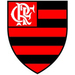 Vereinslogo Flamengo Rio de Janeiro