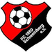 Vereinslogo FC Schweinberg