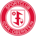Vereinslogo SC 07 Idar-Oberstein