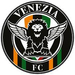 Club logo Venezia Football Club
