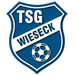 Vereinslogo TSG Wieseck U 17