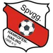 Club logo SpVgg Hankofen-Hailing
