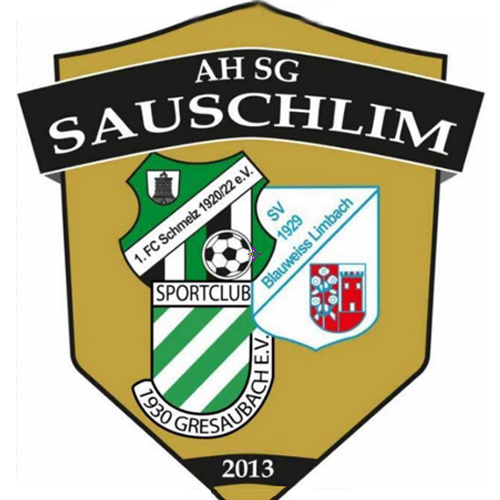 Vereinslogo FSG Schmelz/Limbach/Gresaubach Ü 32