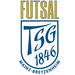 Club logo TSG 1846 Mainz Futsal