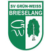 Club logo SV GW Brieselang