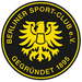 Vereinslogo Berliner SC U 19 (Futsal)
